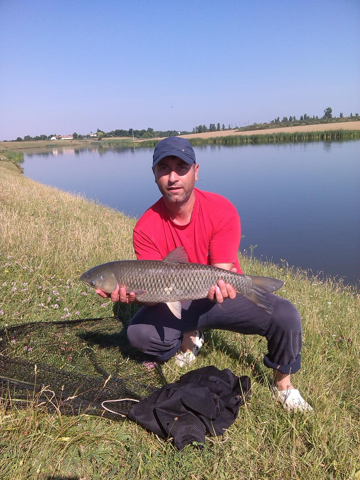 Pescuit---  Balta Sericu  Blejesti --23. 06 .2015. - 4,5 KG